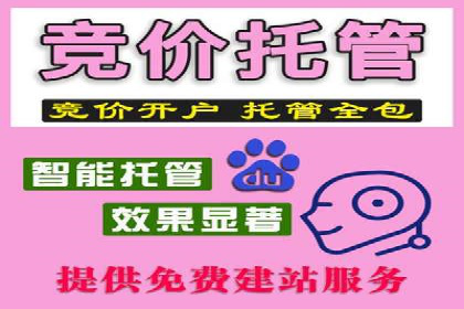 竞价开户推广案例营销策略